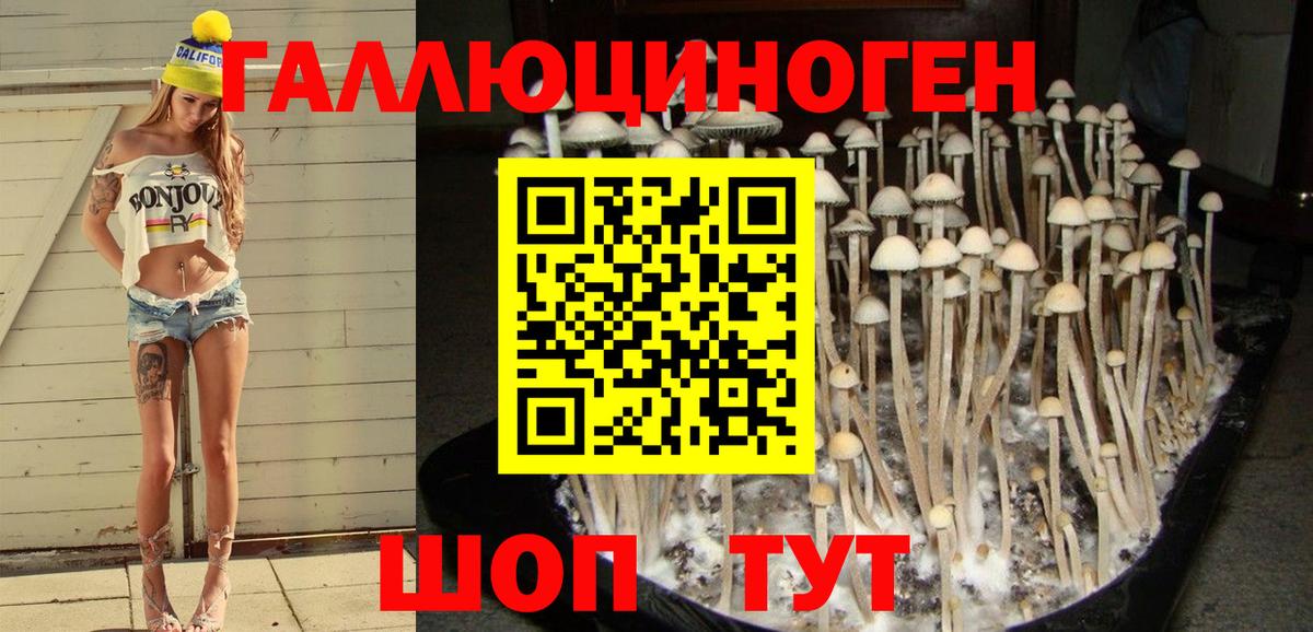 Галлюциногенные грибы Cubensis  Вход с VPN  Десногорск  Галлюциногенные грибы Cubensis 