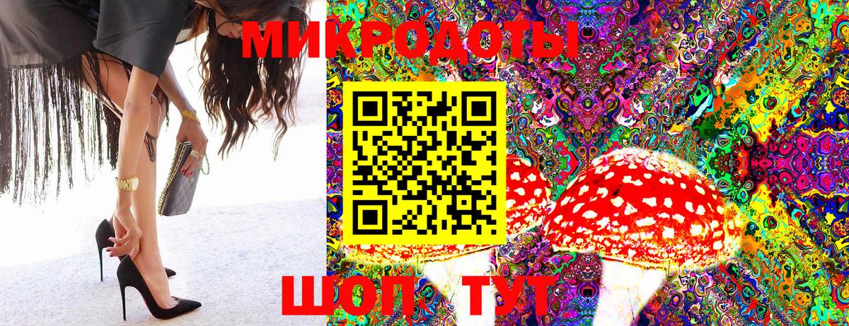 Псилоцибиновые грибы мухоморы Десногорск